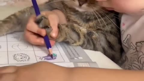 Baby girl teaches the cat how to draw, so adorable ♥️