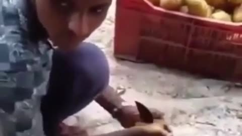 The Potato-Chopping Prodigy