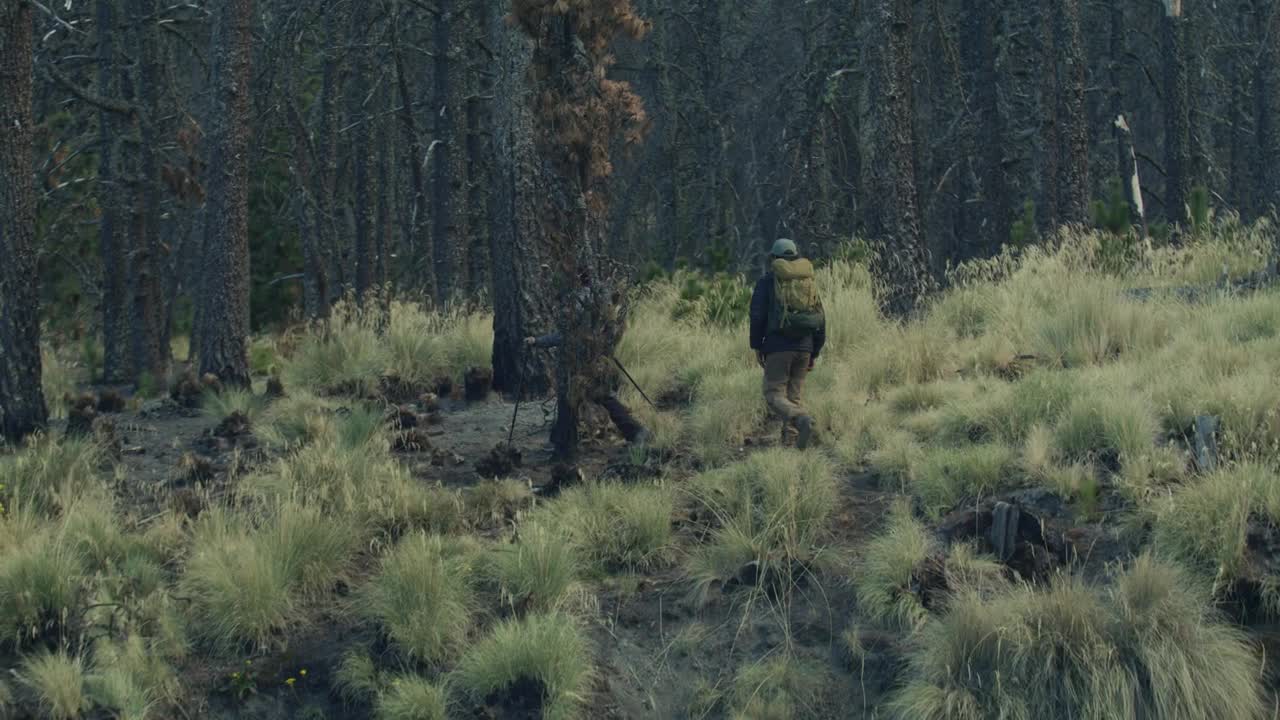 Young people walking through a forest