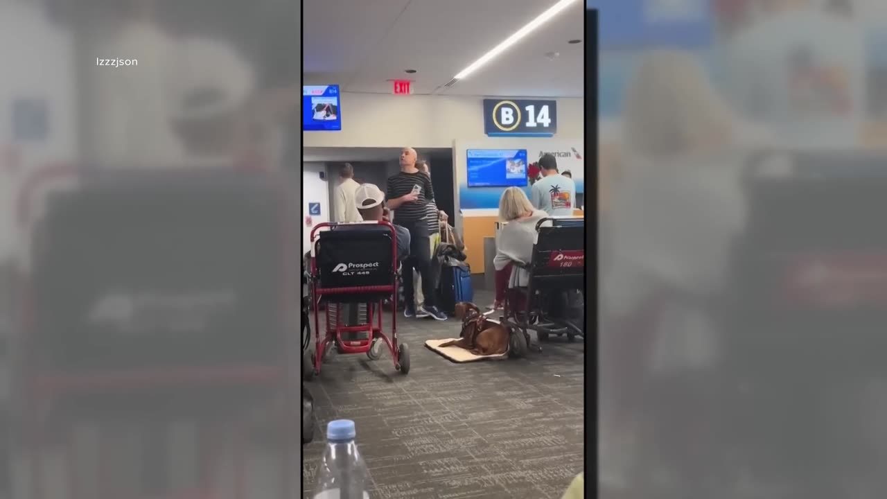 Man goes viral for yelling at American Airlines gate agent a