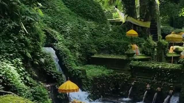 Holy spring in Bali