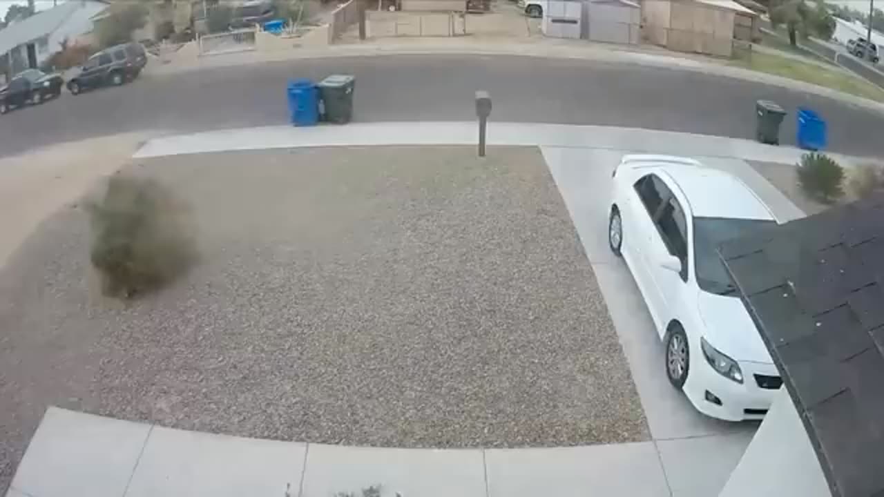 Wirest things caught on camera don't miss it😹