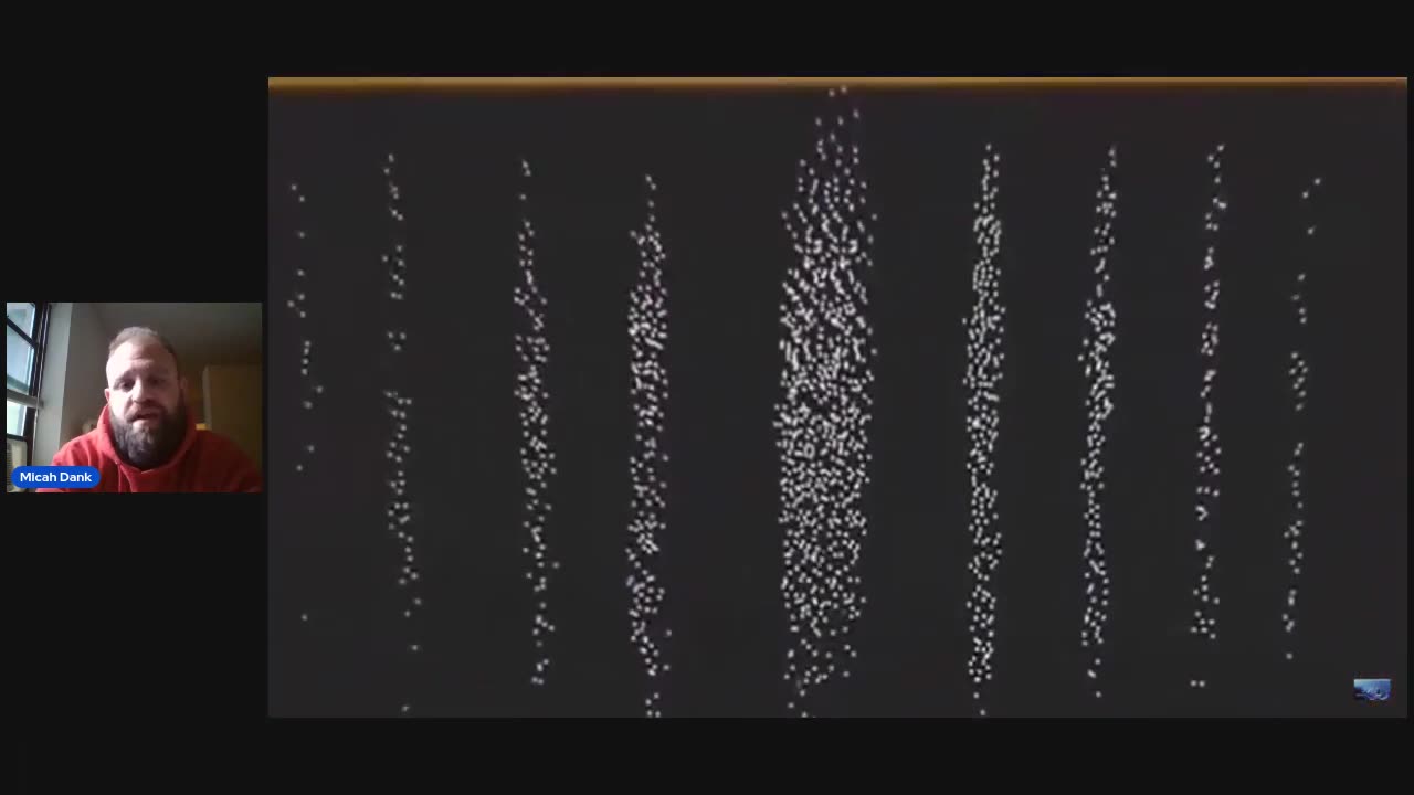 The Double Slit Experiment and Schroedingers Cat in Quantum Physics and what it means