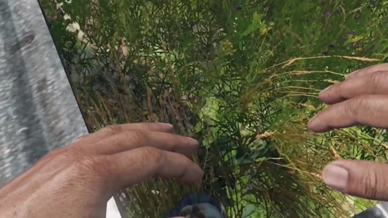 DayZ Is Full Of Bugs