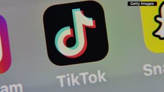 Senate passes legislation banning TikTok from government devices