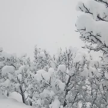 Snowfall villager life