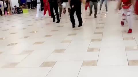 Police in Aventura Mall break up a FLASH MOB