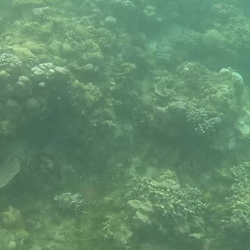 Snorkeling Day 🐠💙