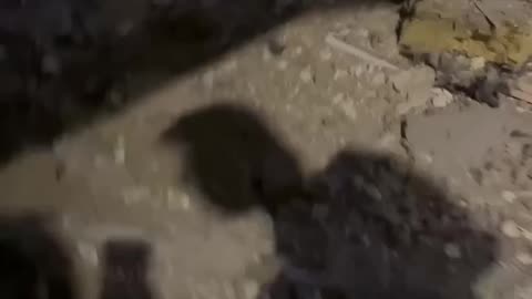 video from a parking lot in Kyiv after the explosions