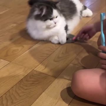 I found that hole in the floor and it is all mine!