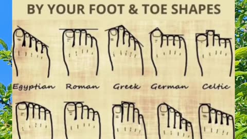 Unlocking Ancestral Secrets with Foot & Toe Shapes! #shorts