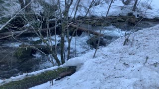 Ice Hiking in Old Growth Forest by a River – Tamanawas Falls – Mount Hood – Oregon – 4K