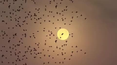 Beauty of Nature