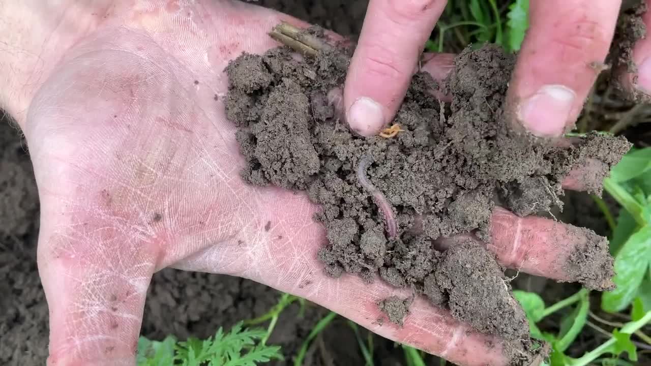 Meet young Slow Food farmer, Sebastian John from Germany