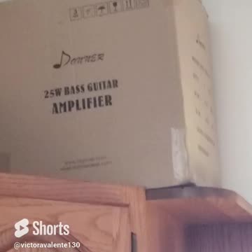 LUNA (da cat) cats are kinda nuts