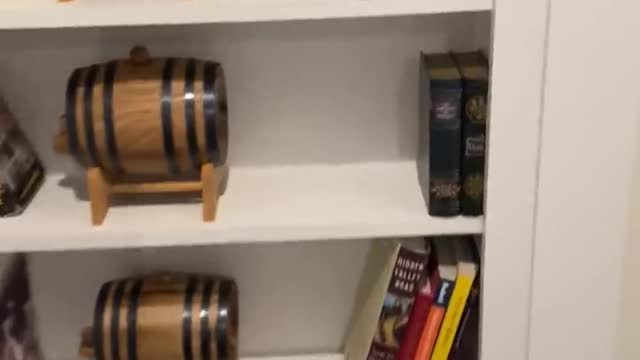 Secret Bar Hidden Behind Bookshelf