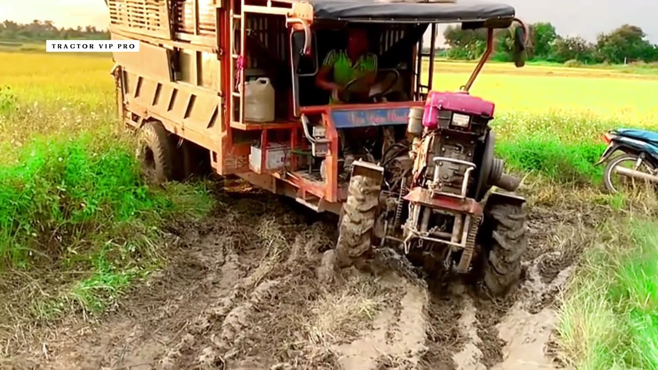 Rice vehicle carrying rice