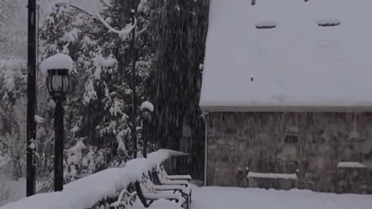 Snow fall