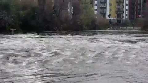 San Diego Fire-Rescue saved at least 5 people trapped in flooding San Diego River