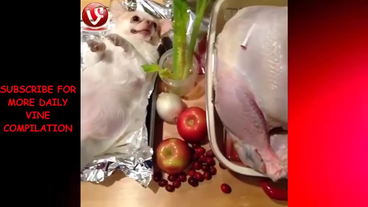 420's CLIP OF THE DAY November 22, 2023