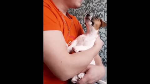 New Funny Animals Video 2023 | Funniest Cats and Dogs Videos | New Funny Video Of Cat And Dogs
