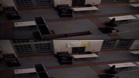 4003BGCO01WestHall_2021-01-05_17h31min29s937ms.mp4