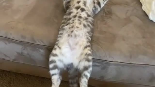 Sunday mood! 💛 credit -