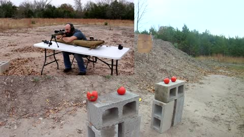 10 Guns EVERYONE Should Own Ep2 - The Ruger 10_22