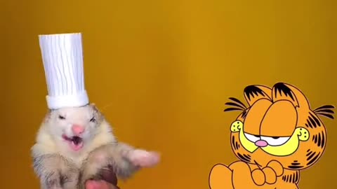 Cooked a lasagna to Garfield and he ate it all