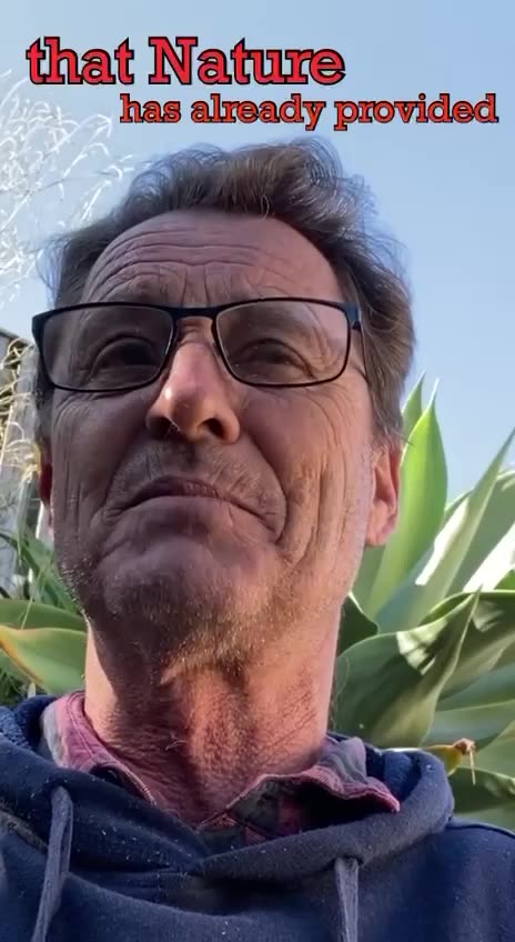 God Built Into Creation The Means To Handle CO2