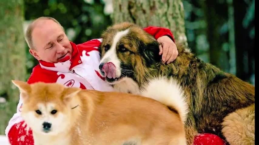 7 dogs of Vladimir Putin!!