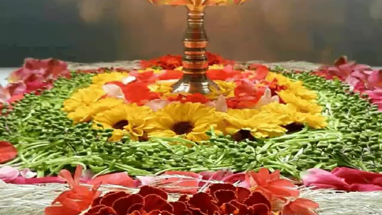 Beauty of creation