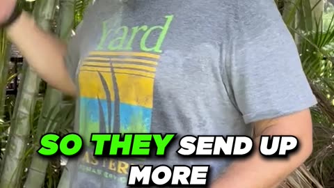 Seeding Cool Season Lawns in Fall