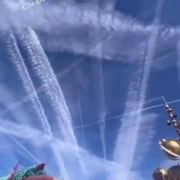 This is what being sprayed like roaches looks like.