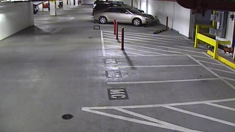 6120RHOBG2G204ALobby4Entrance_2021-01-06_13h00min02s733ms.mp4