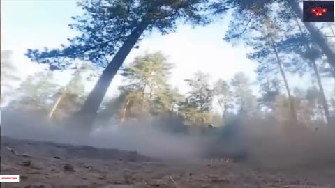 Responding to the partisan attack on Russia, the Russian army loses the initiative on the front