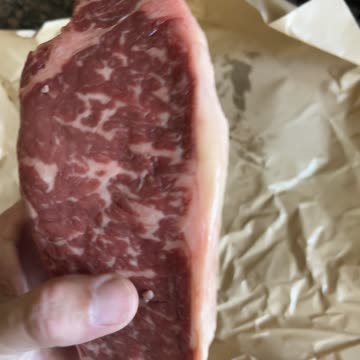 The Traveler’s DUST