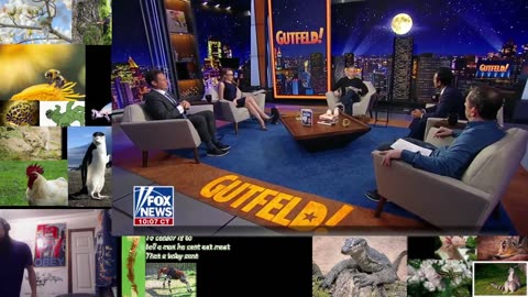 Gutfeld 3/6/2023 Watchalong