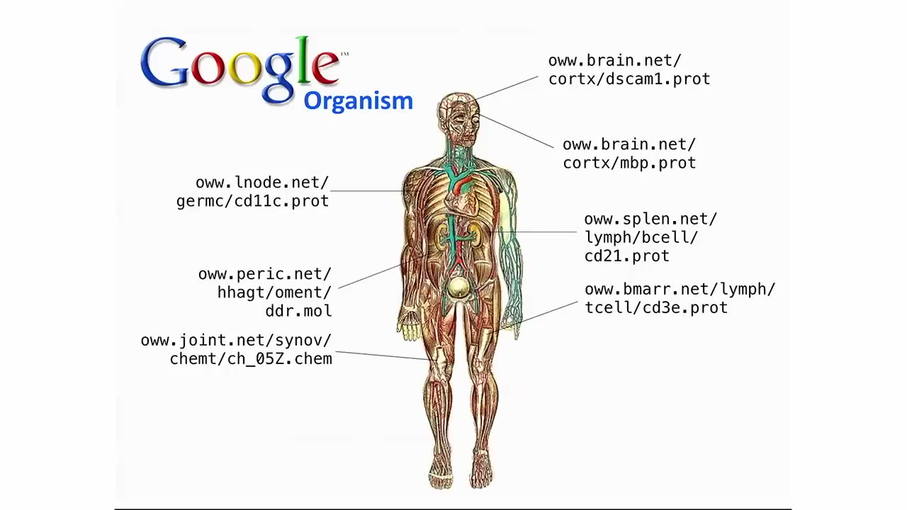 Google-X Ido Bachelet talks Surgical Nanorobotics 2014 - DNA ROBOTS