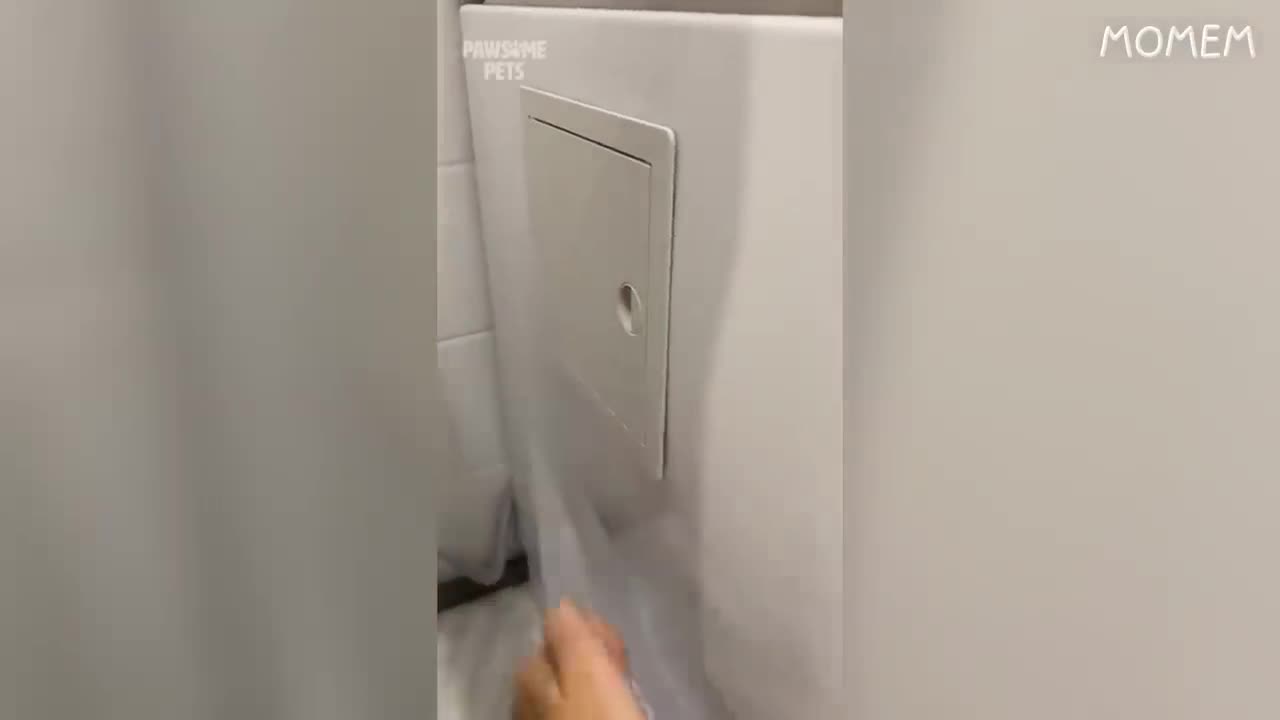 If you are mad watch this funny videos 😂😂😂😂