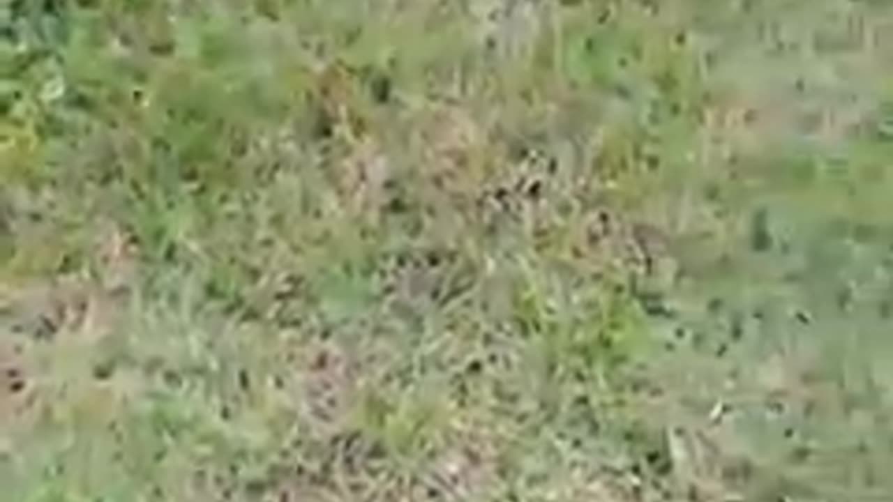 Random video I stole from someone (he go backroom) and pls read description
