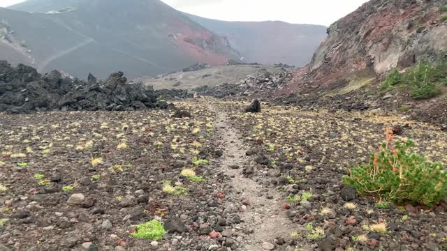 Central Oregon - Three Sisters Wilderness - Obsidian Trail Grand Loop - FULL - PART 3/3