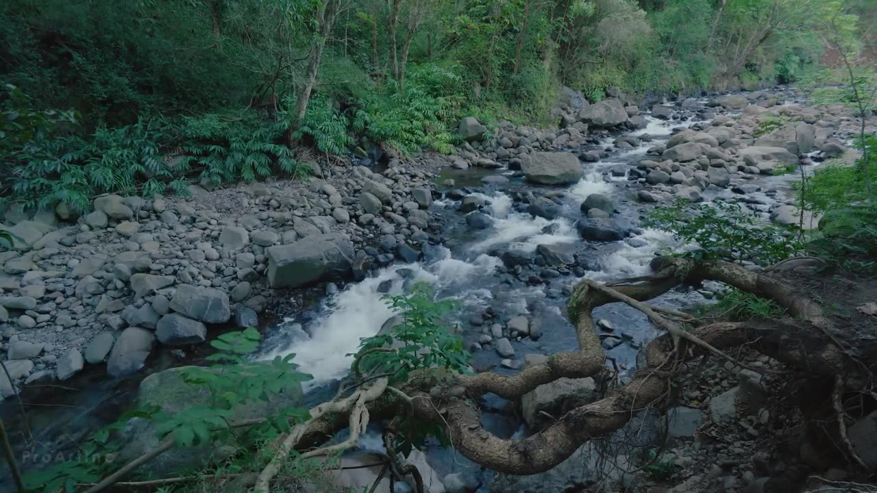 4k Nature Documentary film short preview video