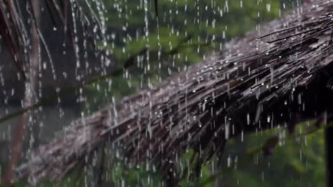 Rain Meditation