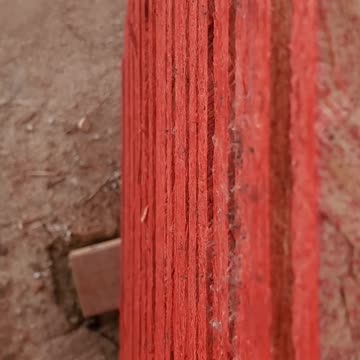 The baby spiders are everywhere.