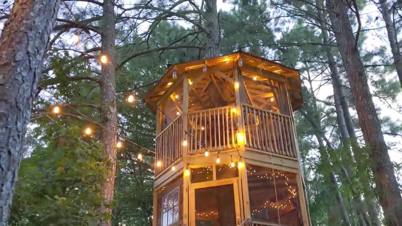 Treasure Hunt Tree House In Metro Atlanta!