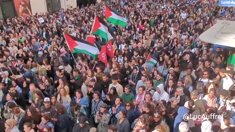 Massive pro Palestine demonstration