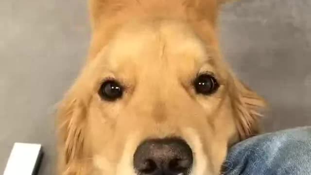Don't look at me like that❤️