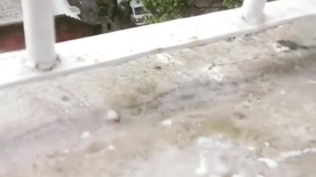 Rain with hail, Montevideo