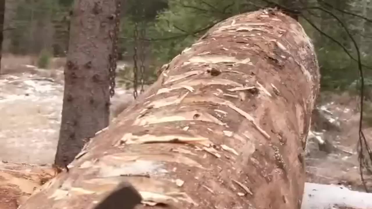 From Forest to Shelter: Captivating Time-lapse of a Solo Log Cabin Build in the Wilderness